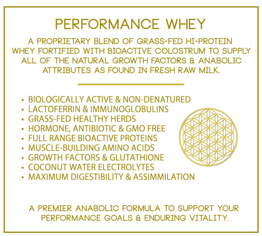 LIFE FORCE PROTEIN No. 2 – PERFORMANCE WHEY  - 16 oz/454 grams