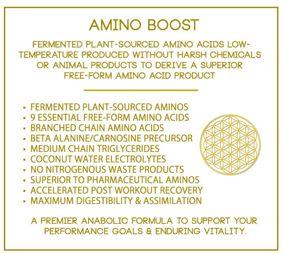 LIFE FORCE PROTEIN  – AMINO BOOST FREE FORM AMINOS  - 8.5 oz/240 grams