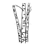BIRCH