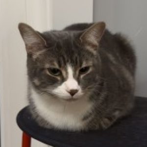 Profile photo of Matia