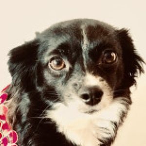 Profile photo of Victoria